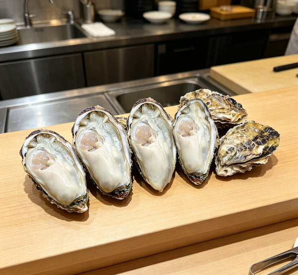Fresh Raw Oysters